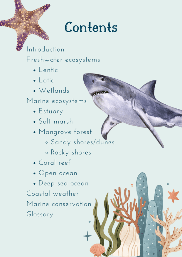 Marine Ecology Field Guide for Kids (A5) | Local is Lekker ZA | African Gifts