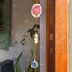 Flower Rainbow Suncatchers – The Perfect Gift to Brighten Someone’s Day | Local is Lekker ZA | African Gifts