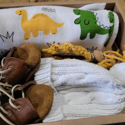 Baby Dino Gift Pack