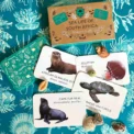 South African Sea life Memory Game African Memory Card Master Collection