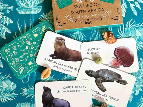 South African Sea life Memory Game African Memory Card Master Collection