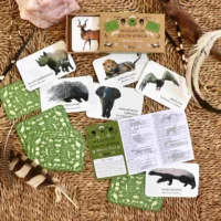 Wildlife of South Africa Memory Game