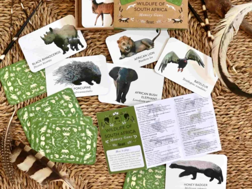 Wildlife of South Africa Memory Game