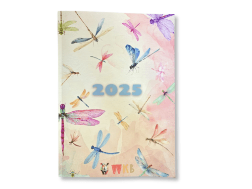 2025 Diary for Girls