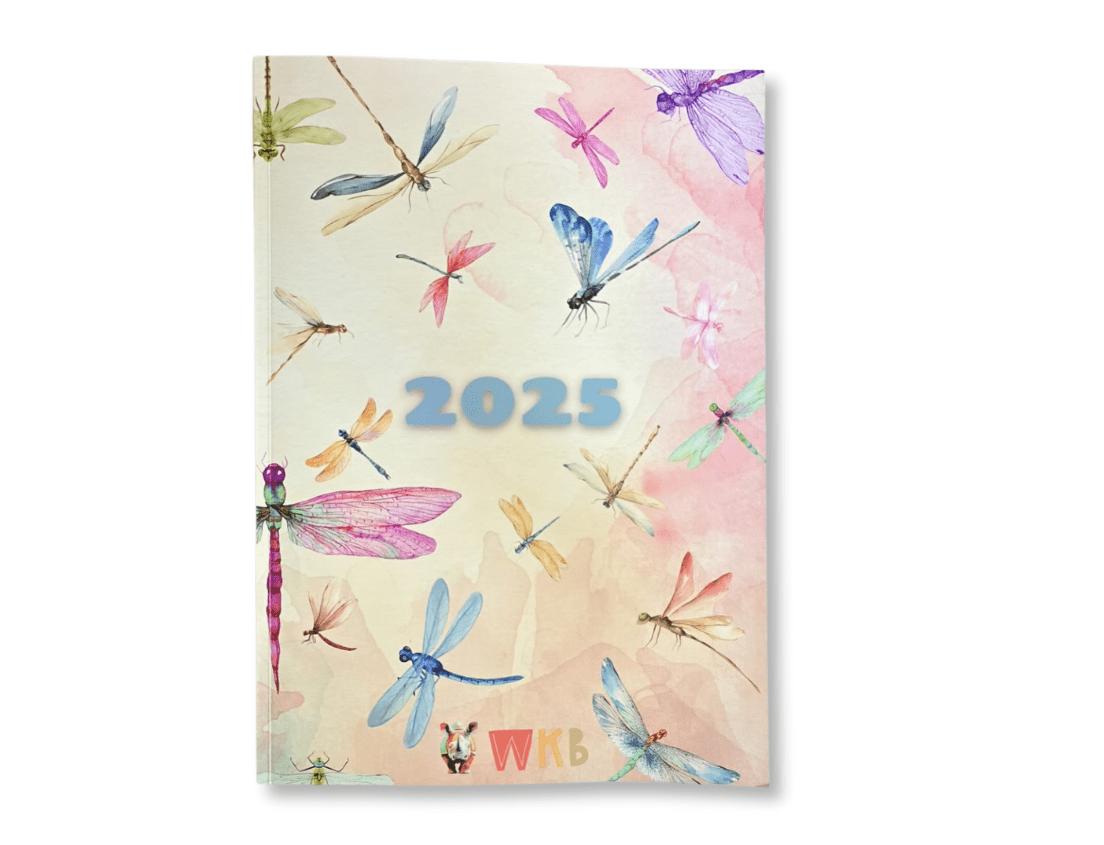 2025 Diary for Girls