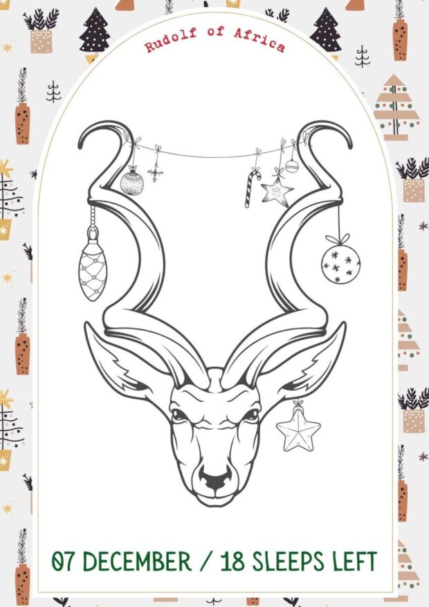 Safari Christmas Countdown Colouring In Book: Colour your way to Christmas Day