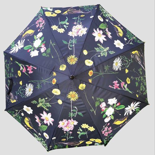 Midnight Umbrella
