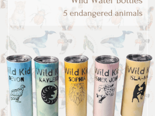 600ml animal water bottle