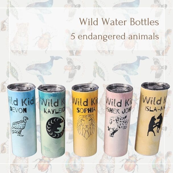 600ml Animal Water Bottle -hot/cold 8 hours