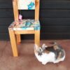 KITTY CHAIR 3 scaled | Local is Lekker ZA | African Gifts