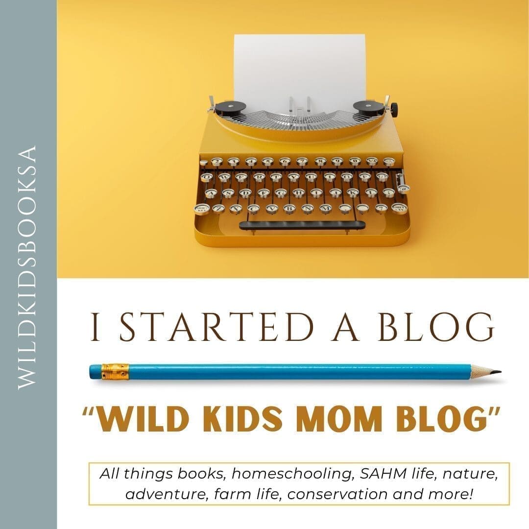 I started a blog - Wild Kids mom blog