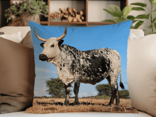 Nguni Blue-sky Printed Scatter Cushions