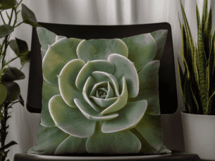 Bold Succulent Printed Scatter Cushion