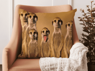 Wildlife Scatter Cushion -African Meerkat Scatter Cushion (Wildlife Collection)