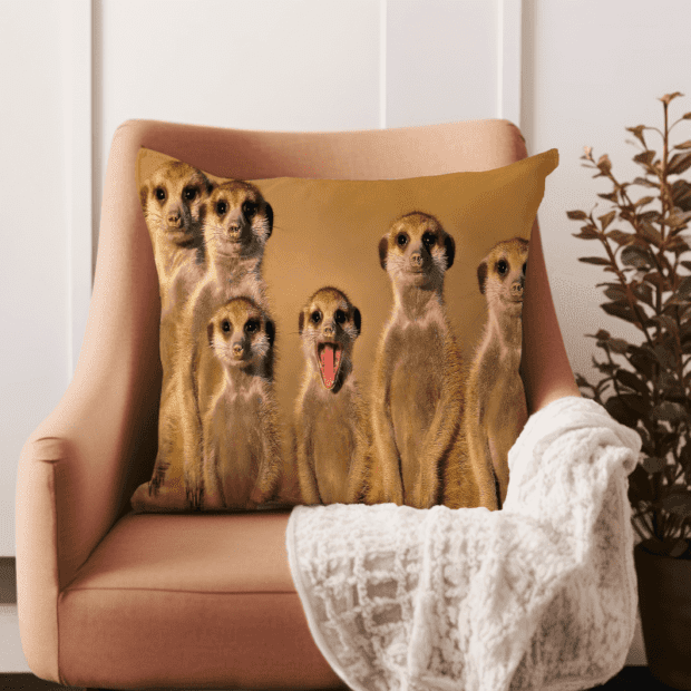 Wildlife Scatter Cushion -African Meerkat Scatter Cushion (Wildlife Collection)