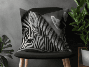 Wildlife Scatter Cushion - Zebra Safari Scatter Cushion (Wildlife Collection)