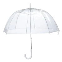 Clear Dome Umbrella