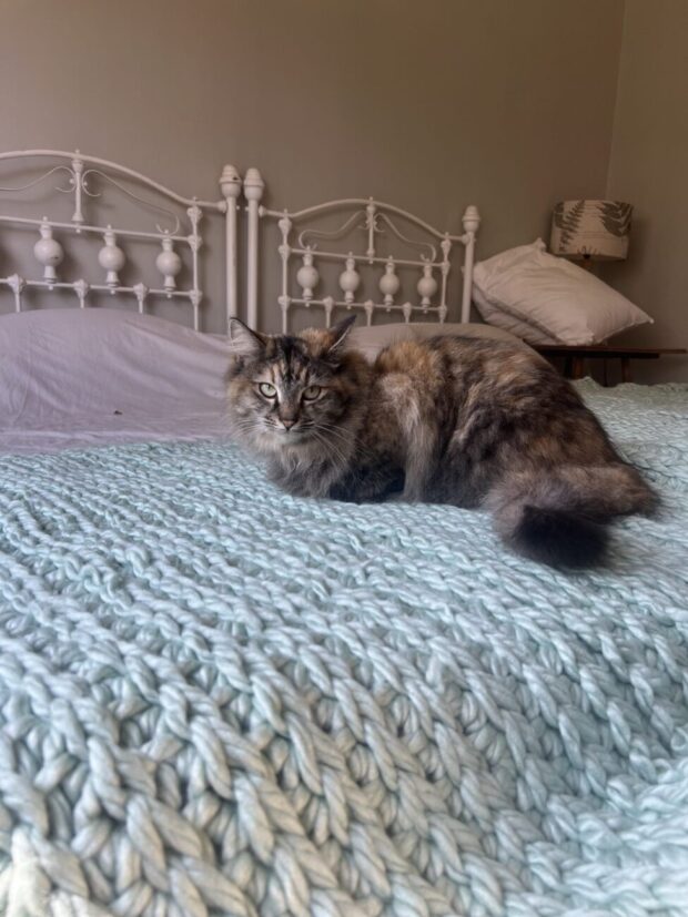 Large Blue chunky knit throw on a bed.