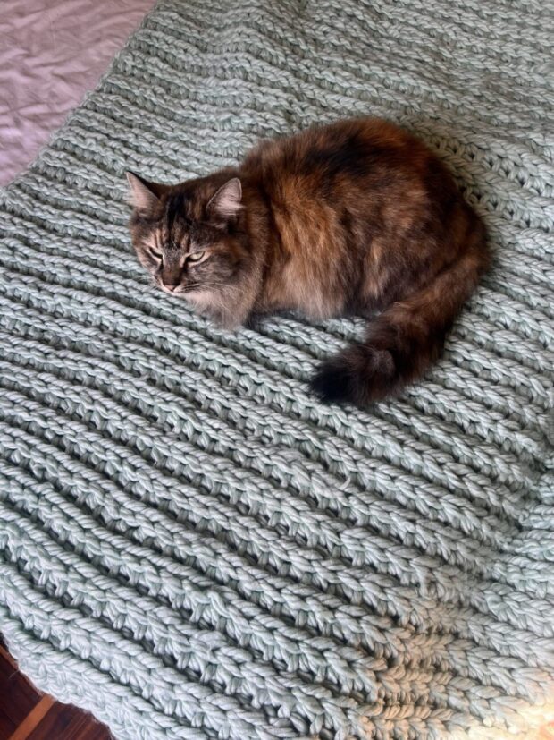 Blue chunky knit throw on a bed.