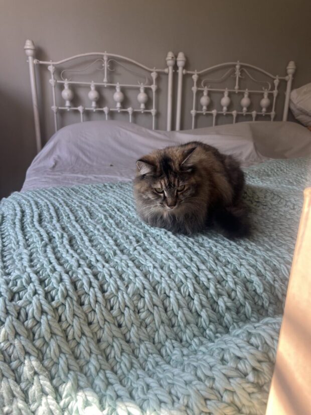 Blue chunky knit throw on a bed.