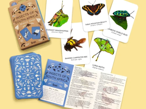 Insects of South Africa Memory Game