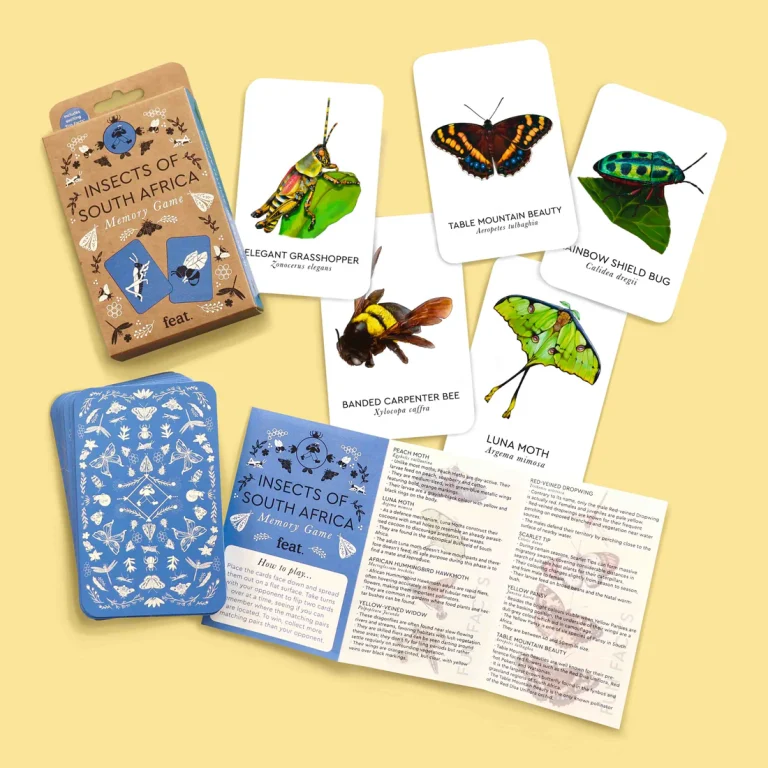 Insects of South Africa Memory Game (Memory Cards)