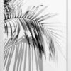 Palm tree leaves mono posters