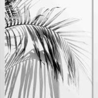 Palm tree leaves mono posters