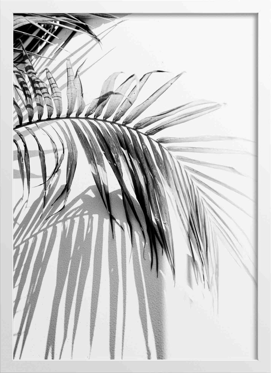 Palm tree leaves mono posters