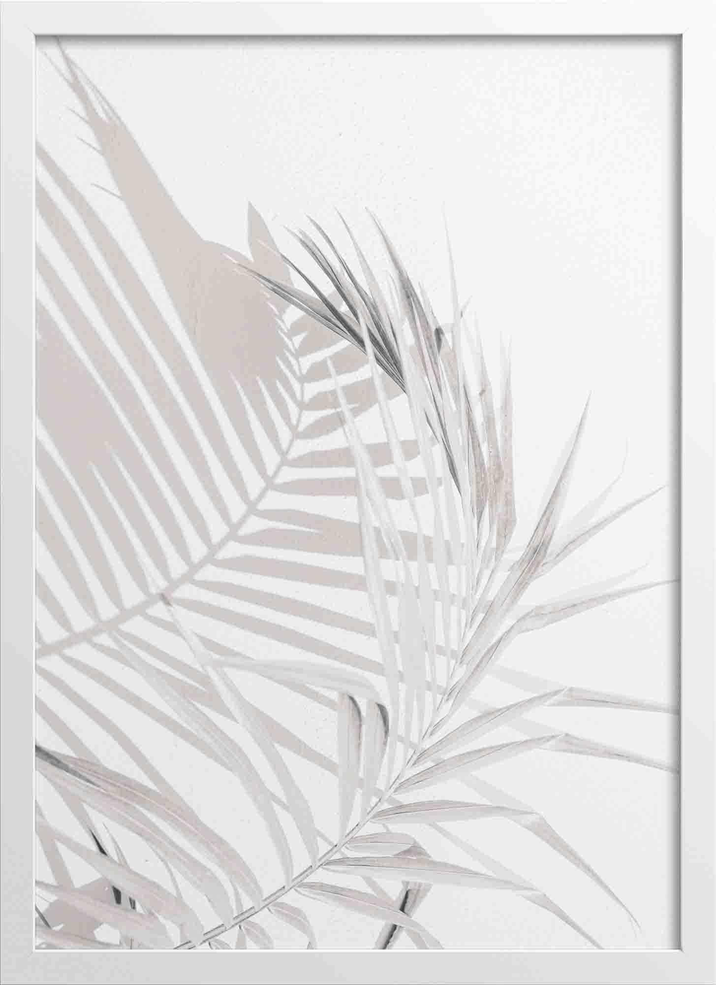 Palm Tree Leaves Soft Tones Poster | N04