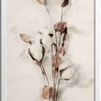 Watercolour dried cotton stem poster | No1