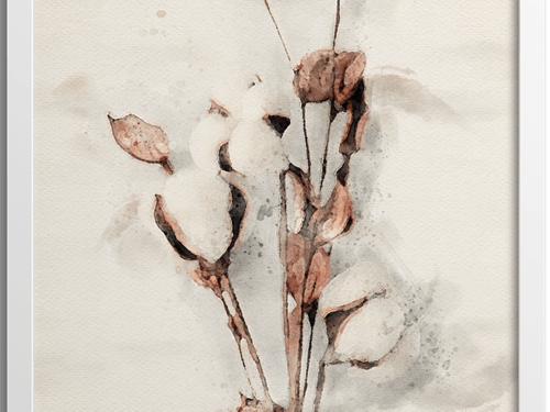 Watercolour dried cotton stem poster | No1