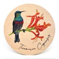 Beautiful Painted Wood Coasters