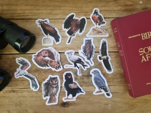 Birds of Prey Sticker Set