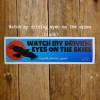 Winged Watcher Car Bumper Stickers