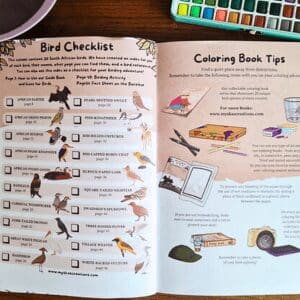 Birdwatchers Coloring Field Guide (Vol.2 Colouring Bird Guide)- Endorsed by BirdLife South Africa! | Local is Lekker ZA | African Gifts