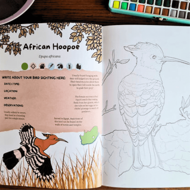 Birdwatchers Coloring Field Guide (Vol.2 Colouring Bird Guide)- Endorsed by BirdLife South Africa! | Local is Lekker ZA | African Gifts