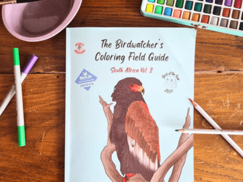 Beautiful Birdwatchers Coloring Field Guide (Vol.2) Endorsed by BirdLife South Africa!