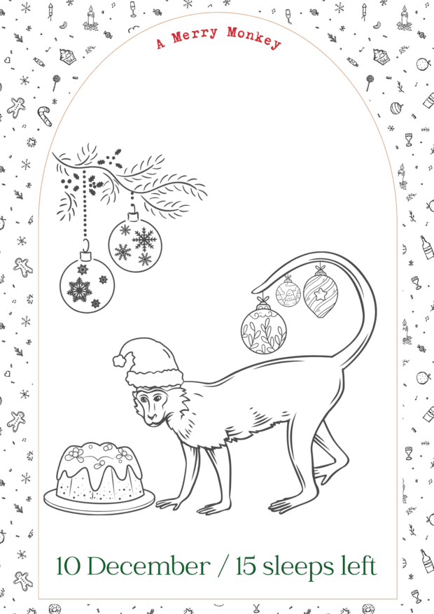 Safari Christmas Countdown Colouring In Book | Local is Lekker ZA | African Gifts