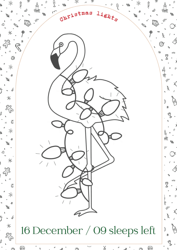 Safari Christmas Countdown Colouring In Book | Local is Lekker ZA | African Gifts