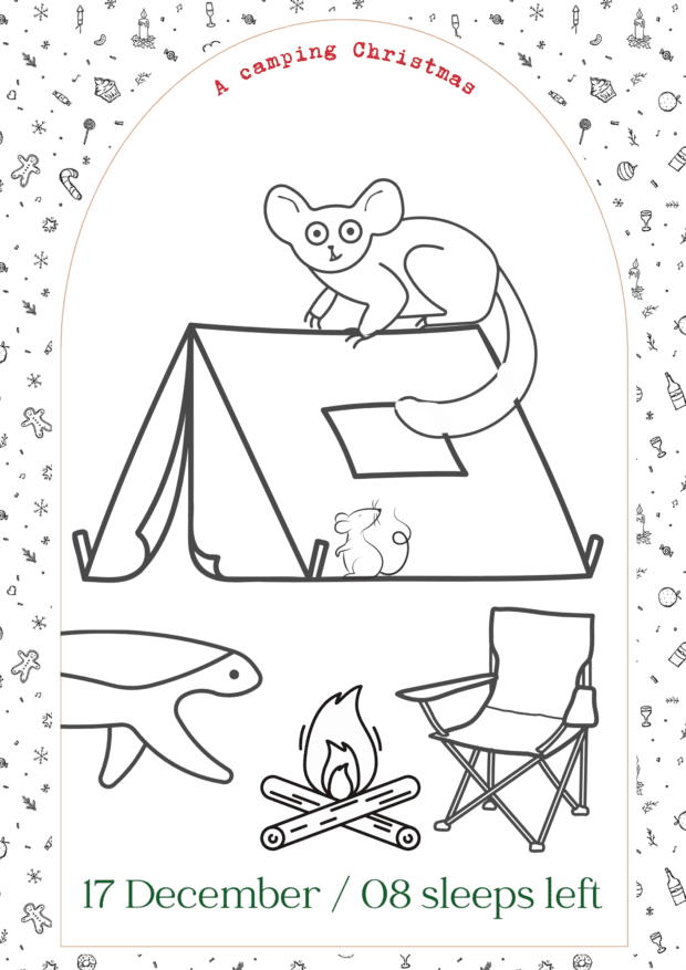 Safari Christmas Countdown Colouring In Book | Local is Lekker ZA | African Gifts