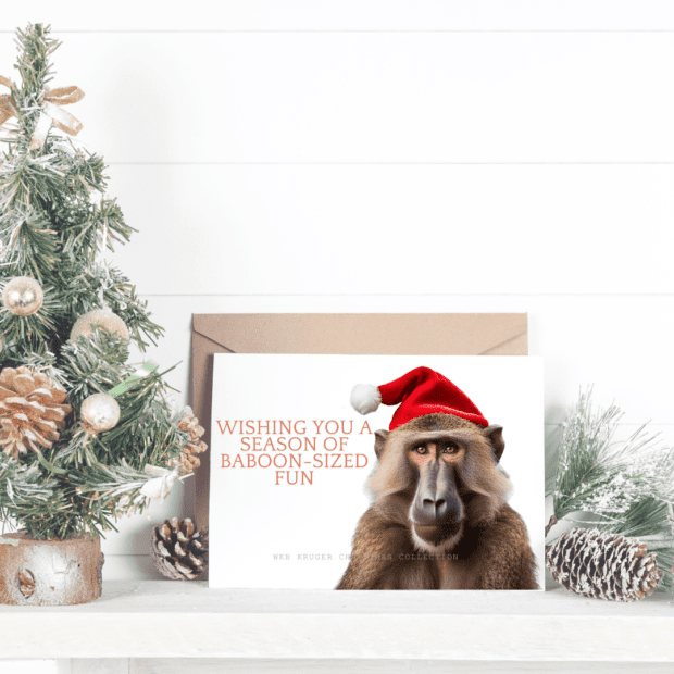 Baboon Fun Festive Greeting Card (A6) (Christmas Card) | Local is Lekker ZA | African Gifts