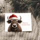 Bullish Christmas Greetings Card (A6) (Christmas Card) | Local is Lekker ZA | African Gifts