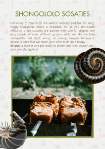 Camping Cookbook 5 | Local is Lekker ZA | African Gifts | African Gifts