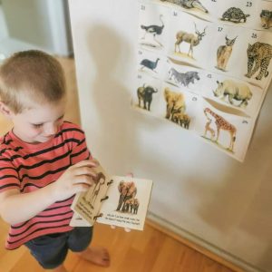 Wooden Baby Book - Safari Friends - Envirokid