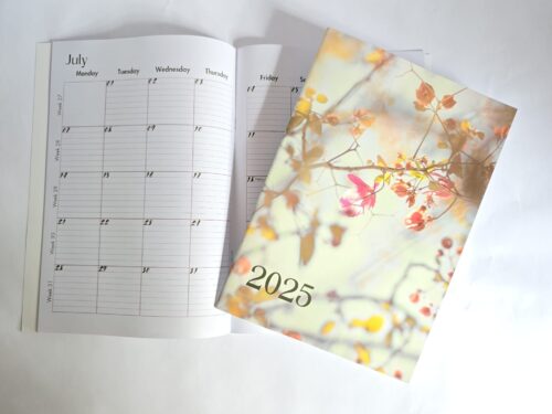 Spring Bloom 2025 2025 Monthly Calendar for Ladies