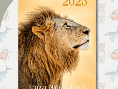 Kruger Inspired 2025 Desk Calendar for Ladies