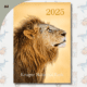 Kruger Inspired 2025 Desk Calendar for Ladies