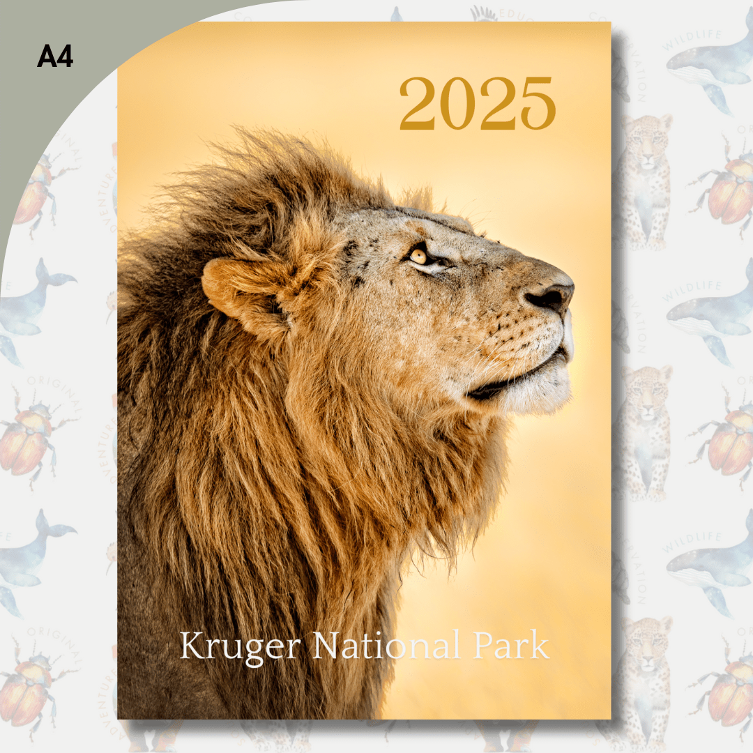 Kruger Inspired 2025 Desk Calendar (Pre-Order) LIMITED EDITION