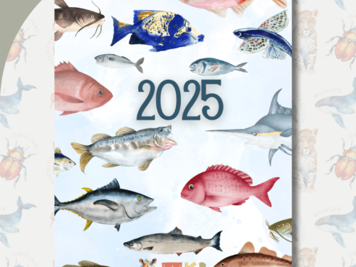 2025 Kids Diary for Boys- Fishing Theme - English